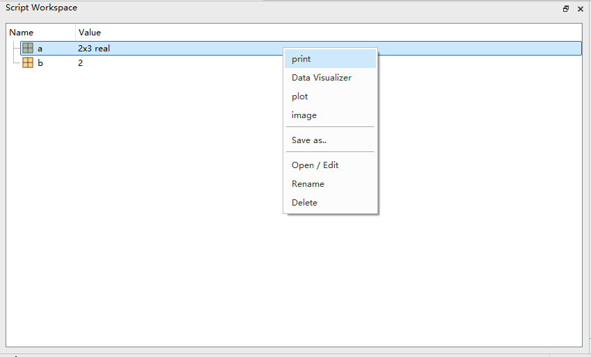 ScriptWorkspace_Print
