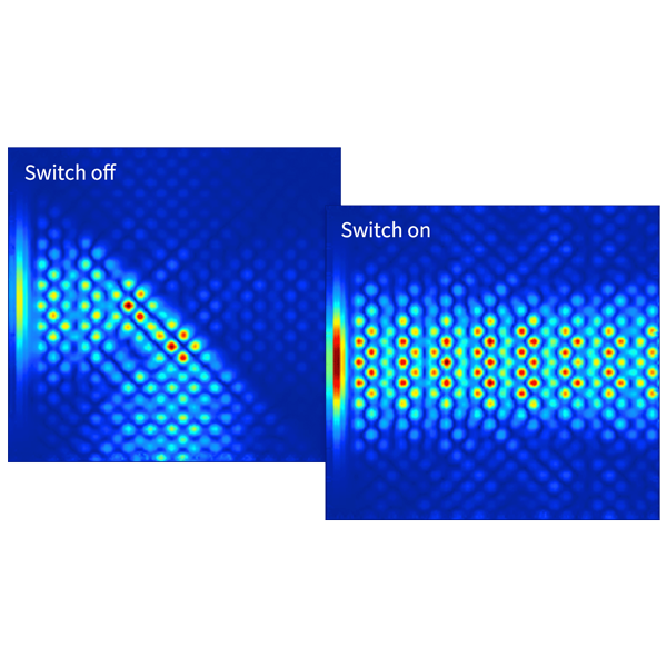 全套专业的微纳光电子解决方案